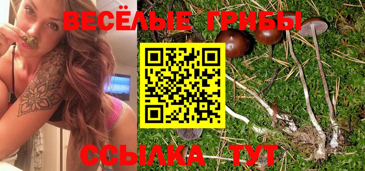 Псилоцибиновые грибы ЛСД  Вход с VPN  Галлюциногенные грибы мицелий  Свободный 